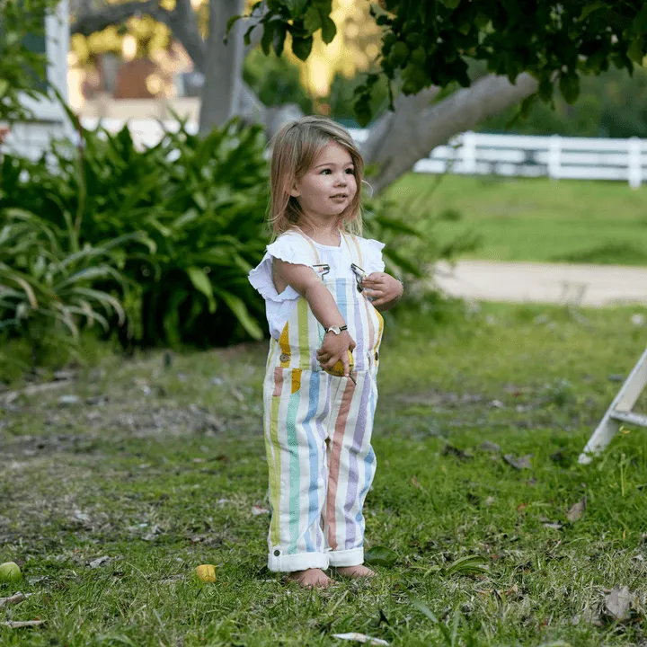 Kids Overalls | Classic Wide stripe Dungarees- Multi-color | Dotty Dungarees