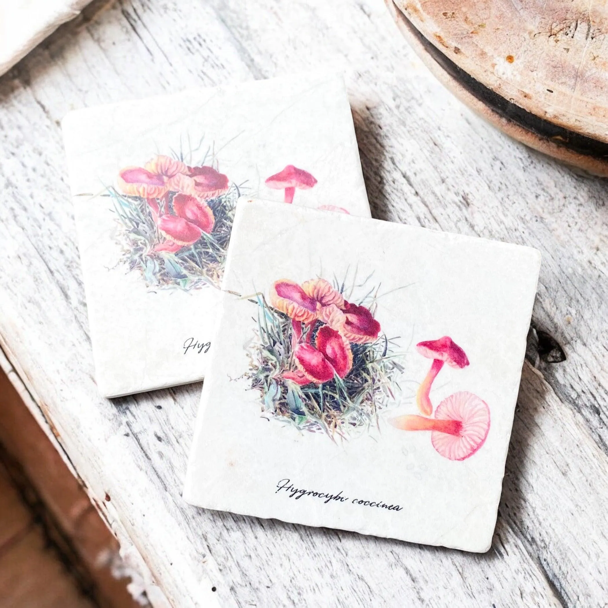 Limestone Mushroom Coaster Sets