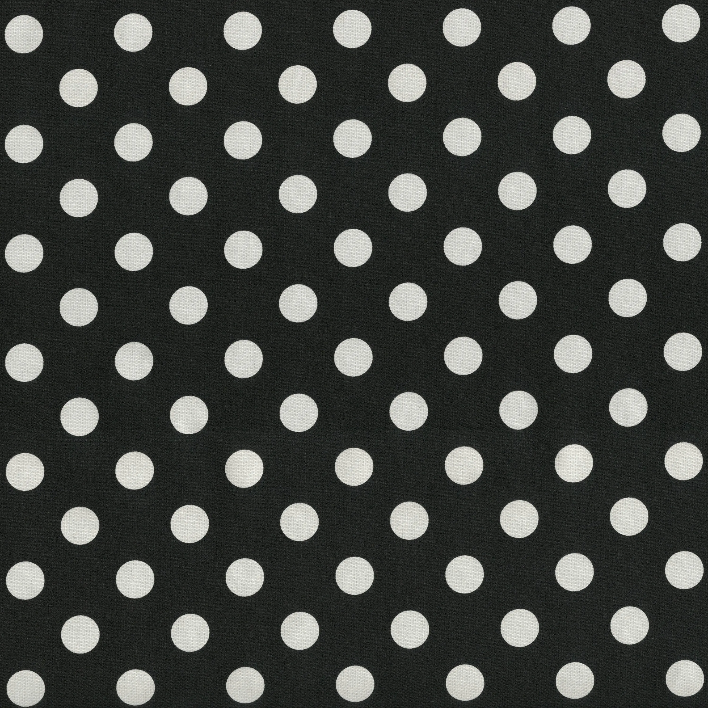 Polka Dot Black Squared Corners Seat Cushion 20X20X3 (Set Of 2)